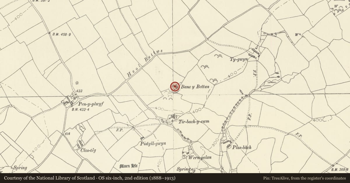 Ordnance Survey six-inch map, 2nd edition (1888–1913) covering the location of Banc y Bettws Castle Mound, Llangyndeyrn, Carmarthenshire, with a pin at the register's coordinates