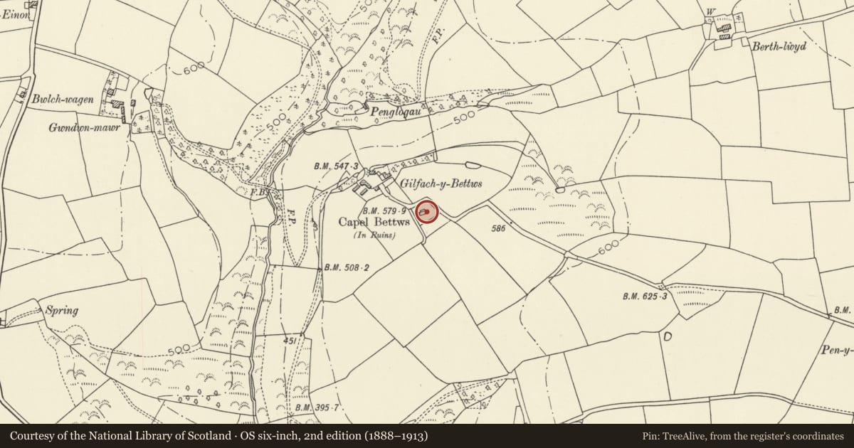 Ordnance Survey six-inch map, 2nd edition (1888–1913) covering the location of Capel Bettws, Trelech, Carmarthenshire, with a pin at the register's coordinates