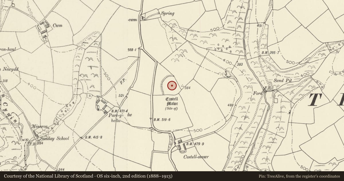Ordnance Survey six-inch map, 2nd edition (1888–1913) covering the location of Castell Mawr, Trelech, Carmarthenshire, with a pin at the register's coordinates