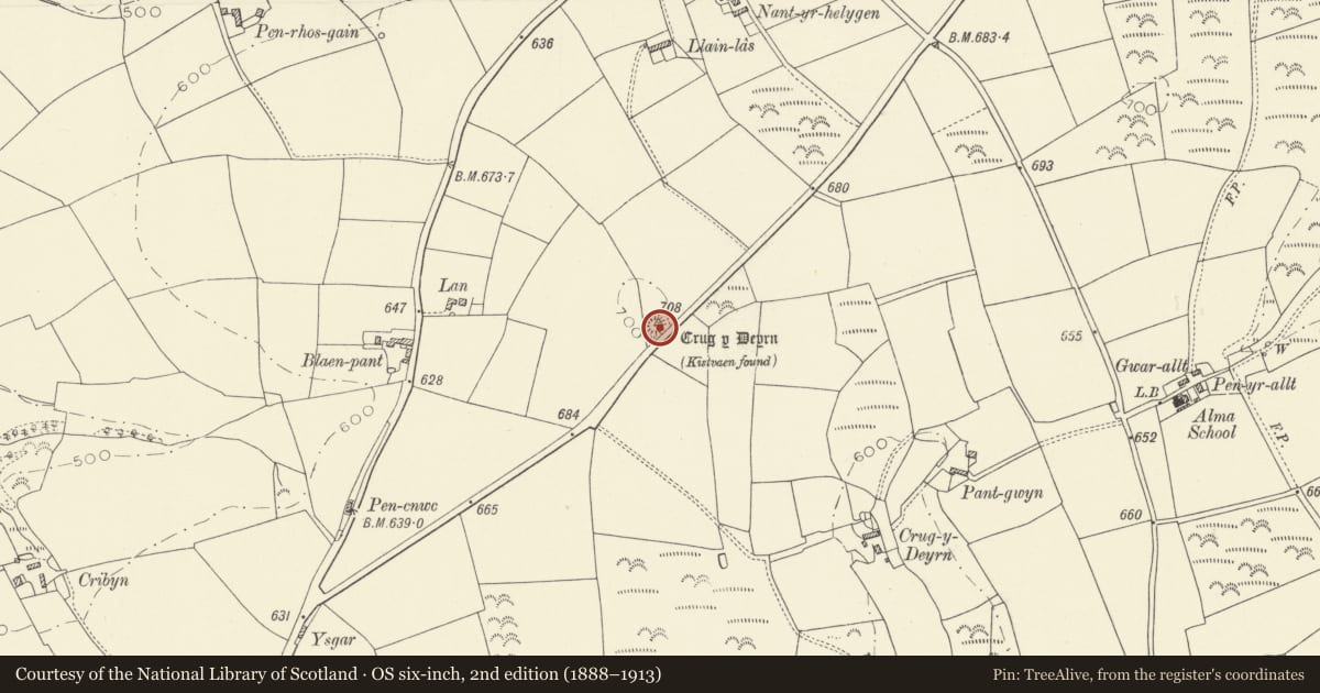 Ordnance Survey six-inch map, 2nd edition (1888–1913) covering the location of Crug y Deyrn Burial Chamber, Trelech, Carmarthenshire, with a pin at the register's coordinates