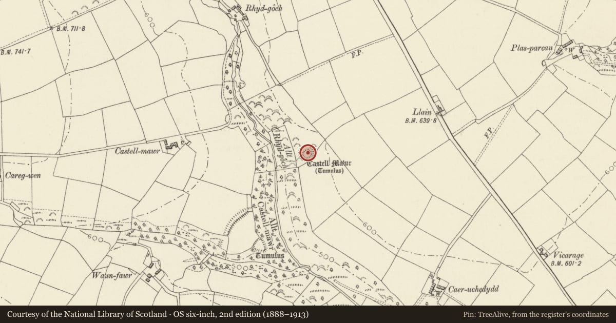 Ordnance Survey six-inch map, 2nd edition (1888–1913) covering the location of Castell Bach, Llanwinio, Carmarthenshire, with a pin at the register's coordinates