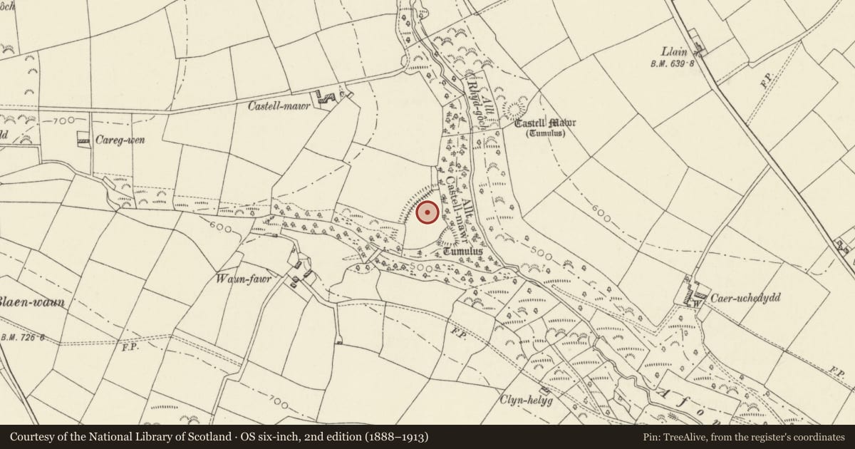Ordnance Survey six-inch map, 2nd edition (1888–1913) covering the location of Castell Mawr Mound and Bailey Castle, Llanwinio, Carmarthenshire, with a pin at the register's coordinates