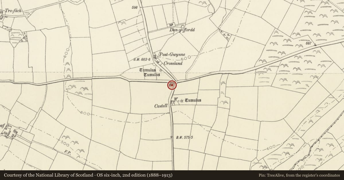 Ordnance Survey six-inch map, 2nd edition (1888–1913) covering the location of Two Round Barrows near Crossroads N of Eglwsfair-a-Churig Church, Llanboidy, Carmarthenshire, with a pin at the register's coordinates