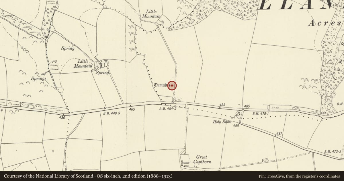 Ordnance Survey six-inch map, 2nd edition (1888–1913) covering the location of Little Mountain Round Barrow, Llanddowror, Carmarthenshire, with a pin at the register's coordinates