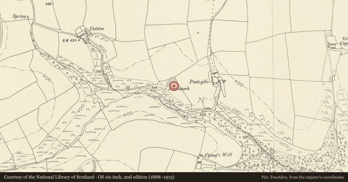 Ordnance Survey six-inch map, 2nd edition (1888–1913) covering the location of Pant-Glas Camp, Llanddowror, Carmarthenshire, with a pin at the register's coordinates