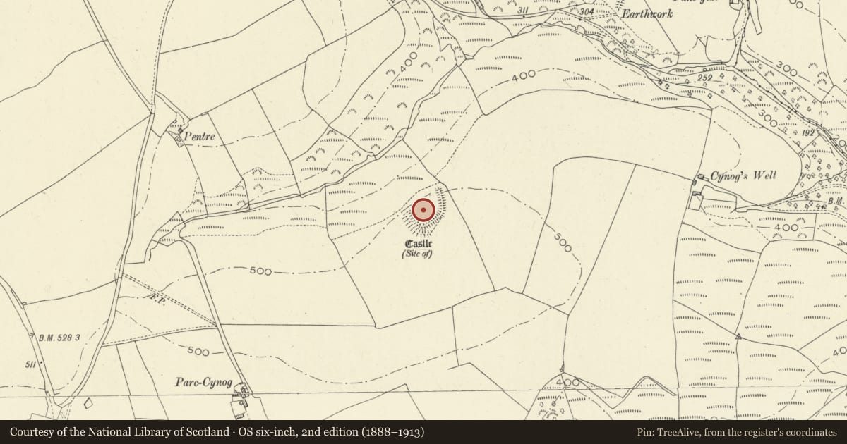 Ordnance Survey six-inch map, 2nd edition (1888–1913) covering the location of Parc-Cynog Camp, Llanddowror, Carmarthenshire, with a pin at the register's coordinates