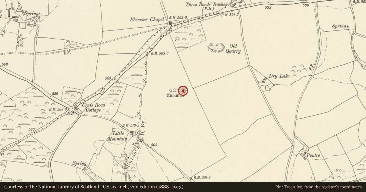 Ordnance Survey six-inch map, 2nd edition (1888–1913) covering the location of Castle-Lloyd Round Barrow, Llanddowror, Carmarthenshire, with a pin at the register's coordinates