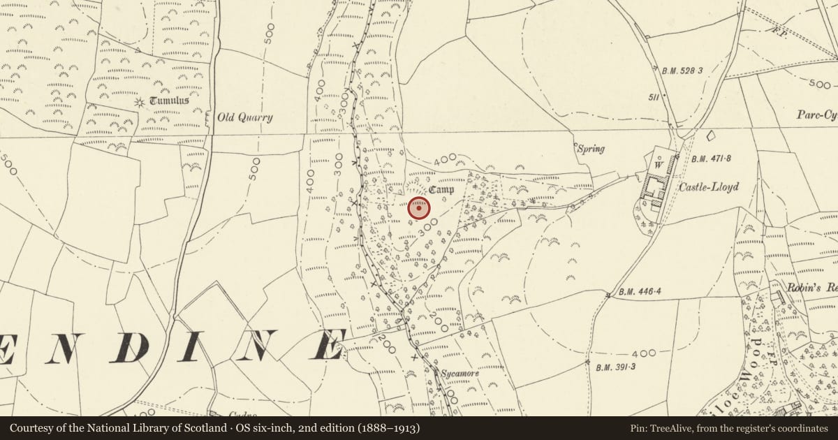 Ordnance Survey six-inch map, 2nd edition (1888–1913) covering the location of Castle-Lloyd Camp, Llanddowror, Carmarthenshire, with a pin at the register's coordinates