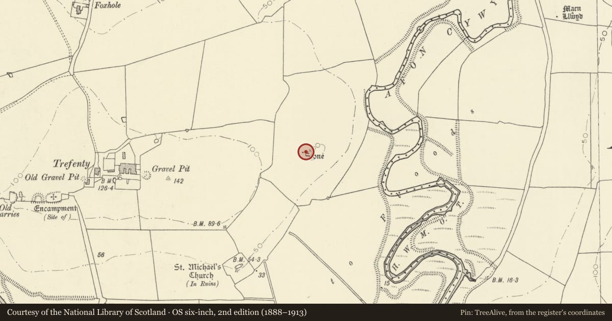 Ordnance Survey six-inch map, 2nd edition (1888–1913) covering the location of Trefenty Standing Stone, St. Clears, Carmarthenshire, with a pin at the register's coordinates