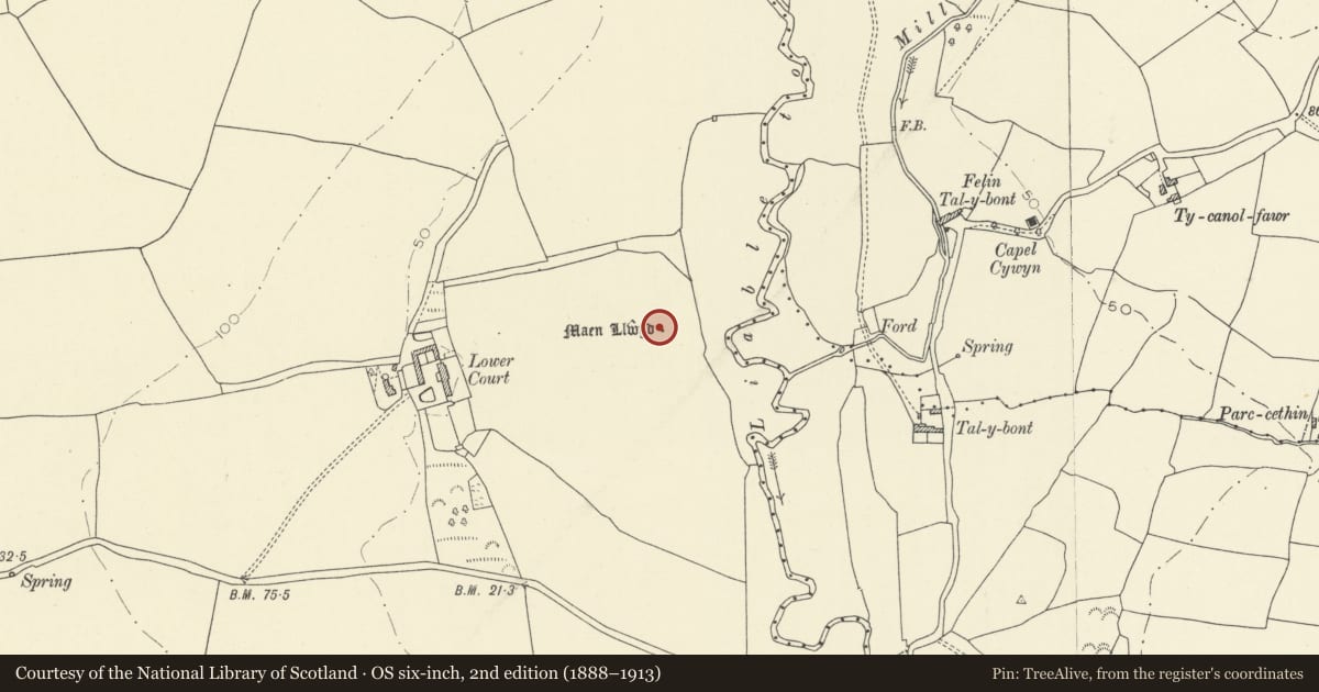 Ordnance Survey six-inch map, 2nd edition (1888–1913) covering the location of Lower Court Standing Stone, St. Clears, Carmarthenshire, with a pin at the register's coordinates