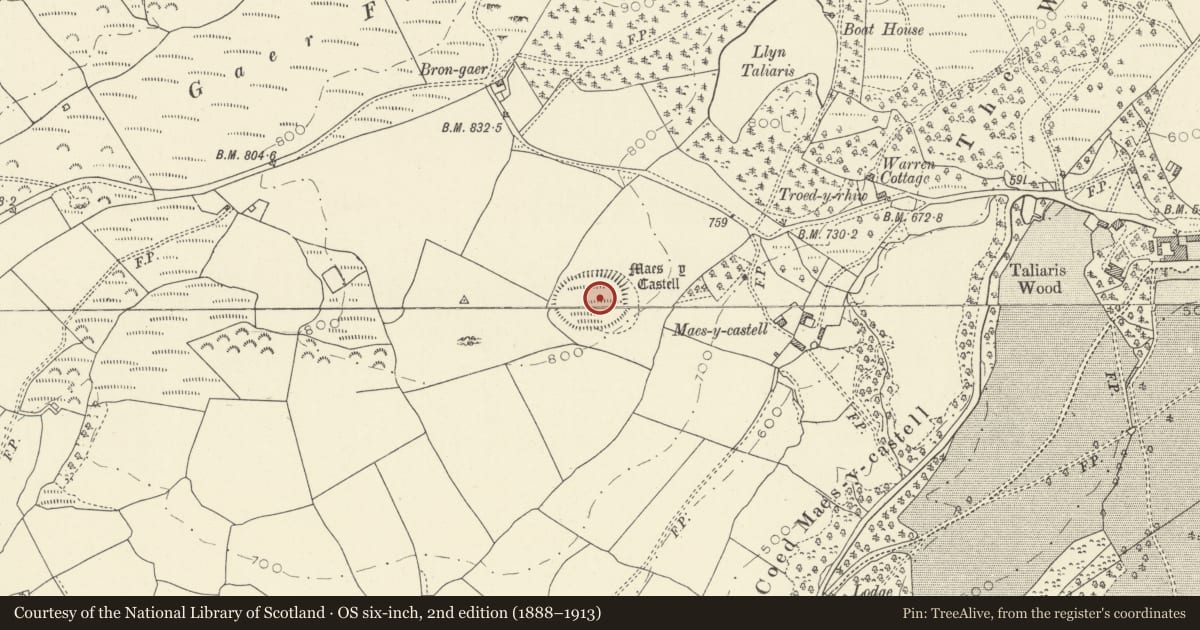 Ordnance Survey six-inch map, 2nd edition (1888–1913) covering the location of Maes y Castell, Manordeilo and Salem, Carmarthenshire, with a pin at the register's coordinates