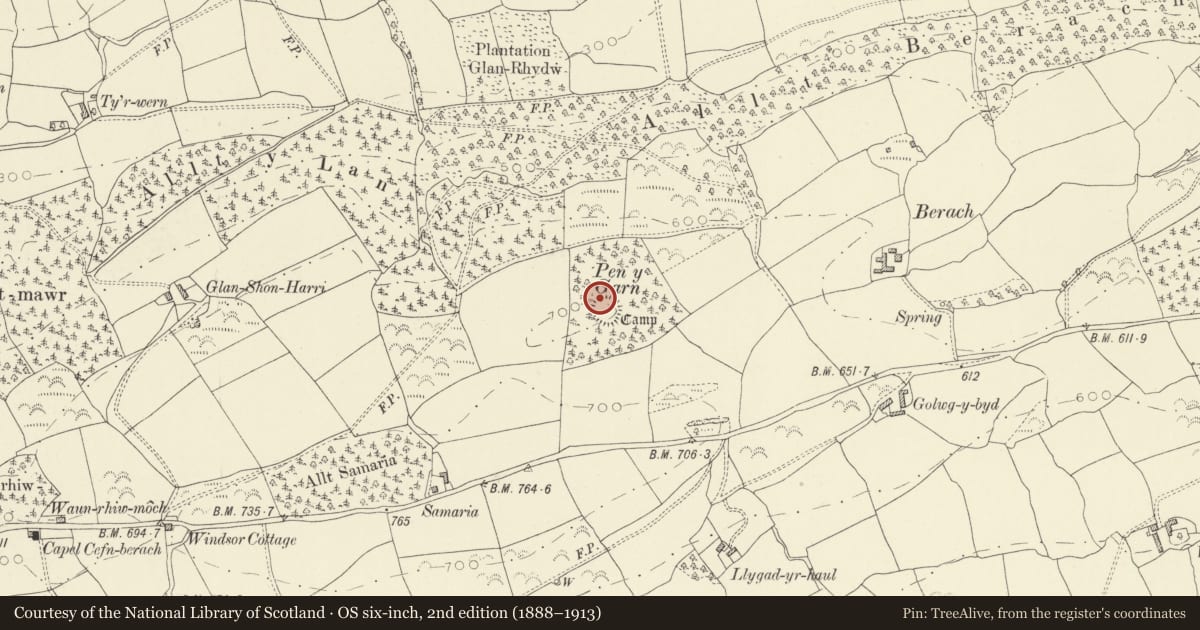 Ordnance Survey six-inch map, 2nd edition (1888–1913) covering the location of Pen y Garn Camp, Llanfihangel Aberbythych, Carmarthenshire, with a pin at the register's coordinates