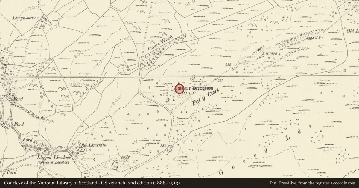 Ordnance Survey six-inch map, 2nd edition (1888–1913) covering the location of Beddau'r Derwyddon, Cyngor Bro Dyffryn Cennen, Carmarthenshire, with a pin at the register's coordinates
