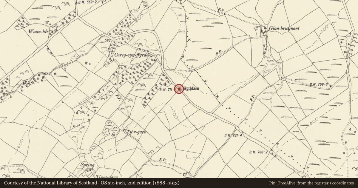 Ordnance Survey six-inch map, 2nd edition (1888–1913) covering the location of Bryngwyn Standing Stone, Cyngor Bro Dyffryn Cennen, Carmarthenshire, with a pin at the register's coordinates
