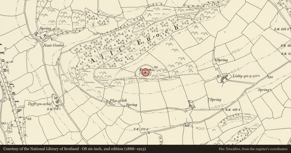 Ordnance Survey six-inch map, 2nd edition (1888–1913) covering the location of Dyffryn Camp, Llanfynydd, Carmarthenshire, with a pin at the register's coordinates