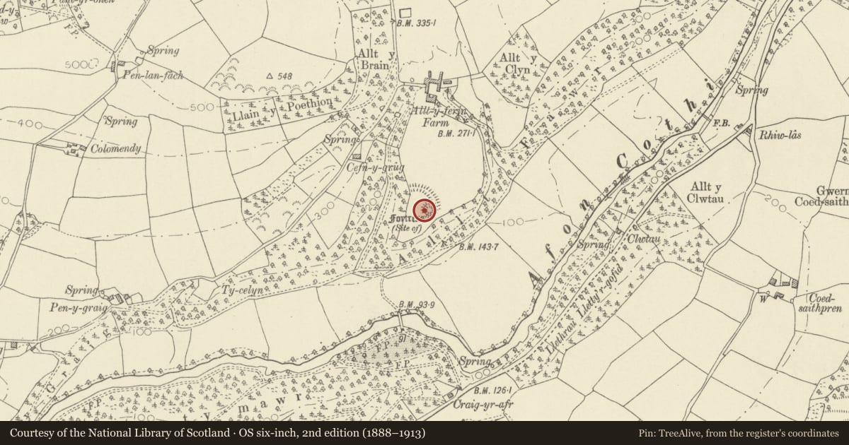 Ordnance Survey six-inch map, 2nd edition (1888–1913) covering the location of Allt-y-Ferin Mound and Bailey Castle, Llanegwad, Carmarthenshire, with a pin at the register's coordinates