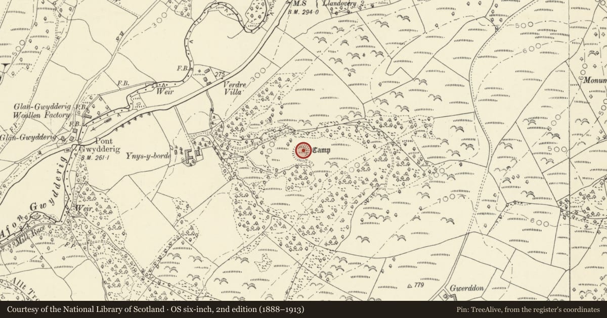 Ordnance Survey six-inch map, 2nd edition (1888–1913) covering the location of Ynys-y-Borde Earthwork, Llandovery, Carmarthenshire, with a pin at the register's coordinates
