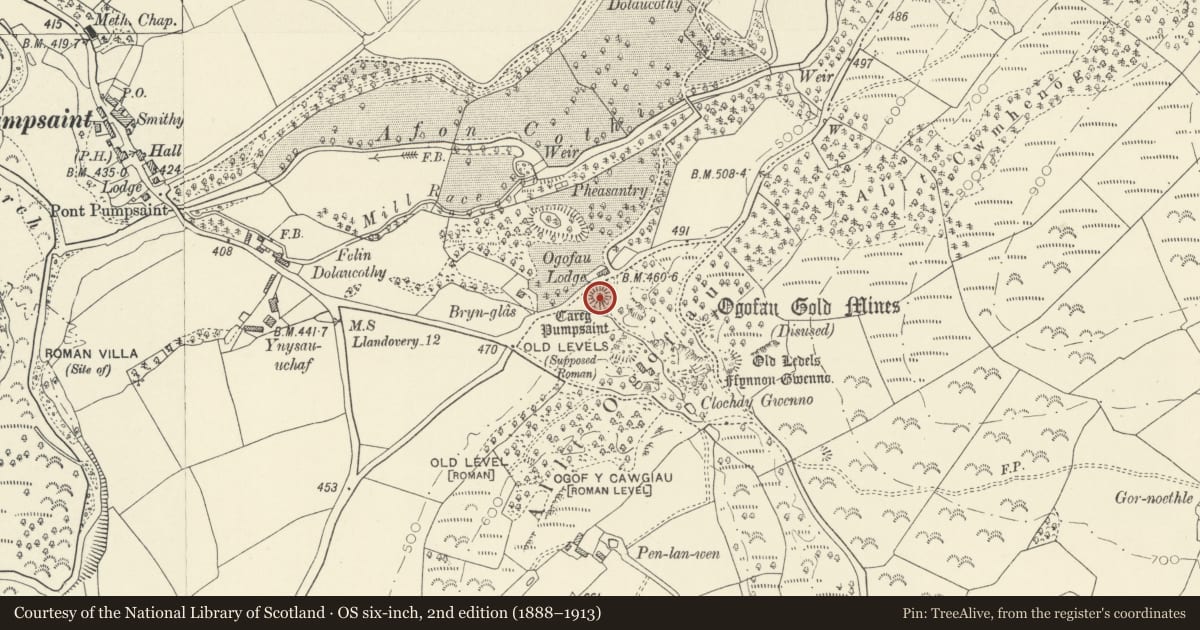 Ordnance Survey six-inch map, 2nd edition (1888–1913) covering the location of Dolaucothi Mound, Cynwyl Gaeo, Carmarthenshire, with a pin at the register's coordinates