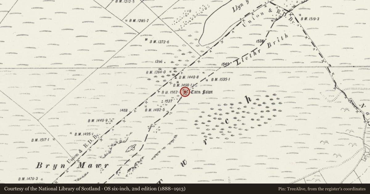Ordnance Survey six-inch map, 2nd edition (1888–1913) covering the location of Carn Fawr Round Cairn, Cynwyl Gaeo, Carmarthenshire, with a pin at the register's coordinates