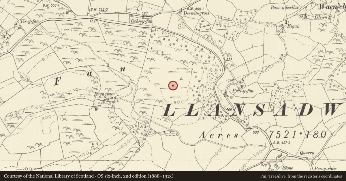Ordnance Survey six-inch map, 2nd edition (1888–1913) covering the location of Fan Camp, Llansadwrn, Carmarthenshire, with a pin at the register's coordinates