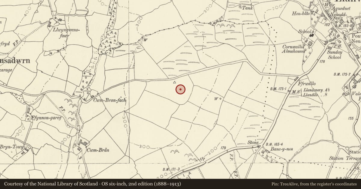 Ordnance Survey six-inch map, 2nd edition (1888–1913) covering the location of Cwm-Bran Camp, Llansadwrn, Carmarthenshire, with a pin at the register's coordinates
