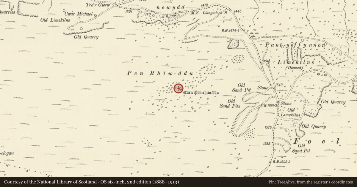 Ordnance Survey six-inch map, 2nd edition (1888–1913) covering the location of Carn Pen-Rhiw-Ddu, Llangadog, Carmarthenshire, with a pin at the register's coordinates