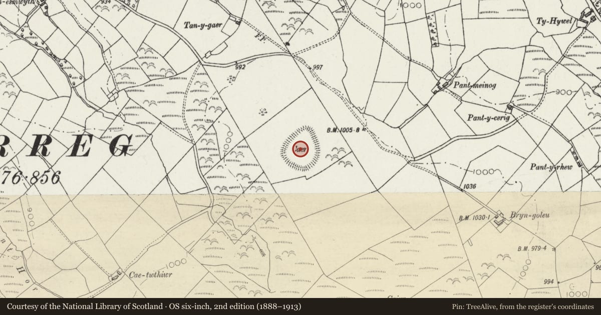 Ordnance Survey six-inch map, 2nd edition (1888–1913) covering the location of Caer Pencarreg, Carmarthenshire, with a pin at the register's coordinates