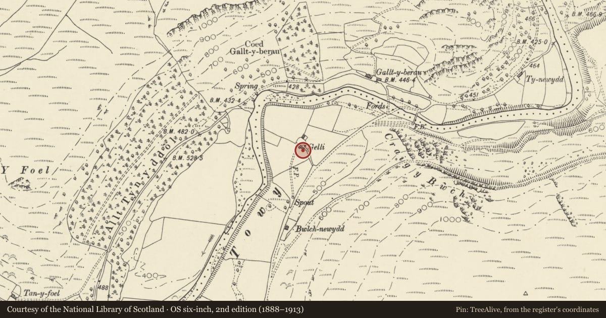 Ordnance Survey six-inch map, 2nd edition (1888–1913) covering the location of Gelli Burial Chamber, Llanfair-ar-y-Bryn, Carmarthenshire, with a pin at the register's coordinates