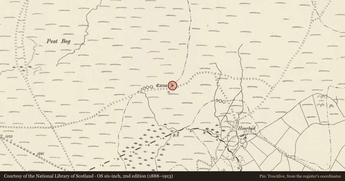 Ordnance Survey six-inch map, 2nd edition (1888–1913) covering the location of Round Cairns 430m North West of Henrhyd, Cwmamman, Carmarthenshire, with a pin at the register's coordinates