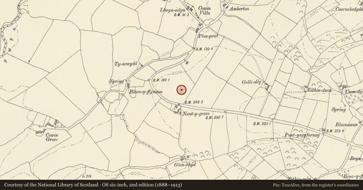 Ordnance Survey six-inch map, 2nd edition (1888–1913) covering the location of Bwlch Seiri Camp, Llangynog, Carmarthenshire, with a pin at the register's coordinates