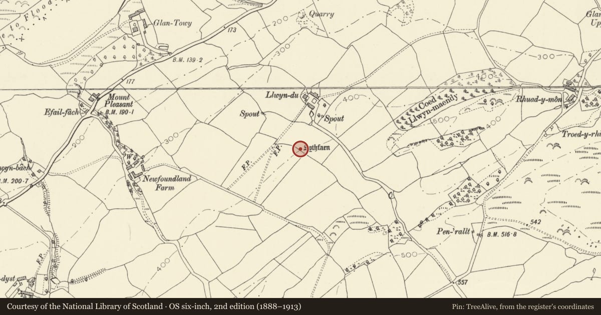 Ordnance Survey six-inch map, 2nd edition (1888–1913) covering the location of Standing Stone S of Llwyn-Du Farm, Llangadog, Carmarthenshire, with a pin at the register's coordinates