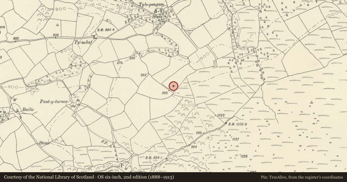 Ordnance Survey six-inch map, 2nd edition (1888–1913) covering the location of Standing Stone & Round Cairns S of Tyle-Pengam, Llanddeusant, Carmarthenshire, with a pin at the register's coordinates