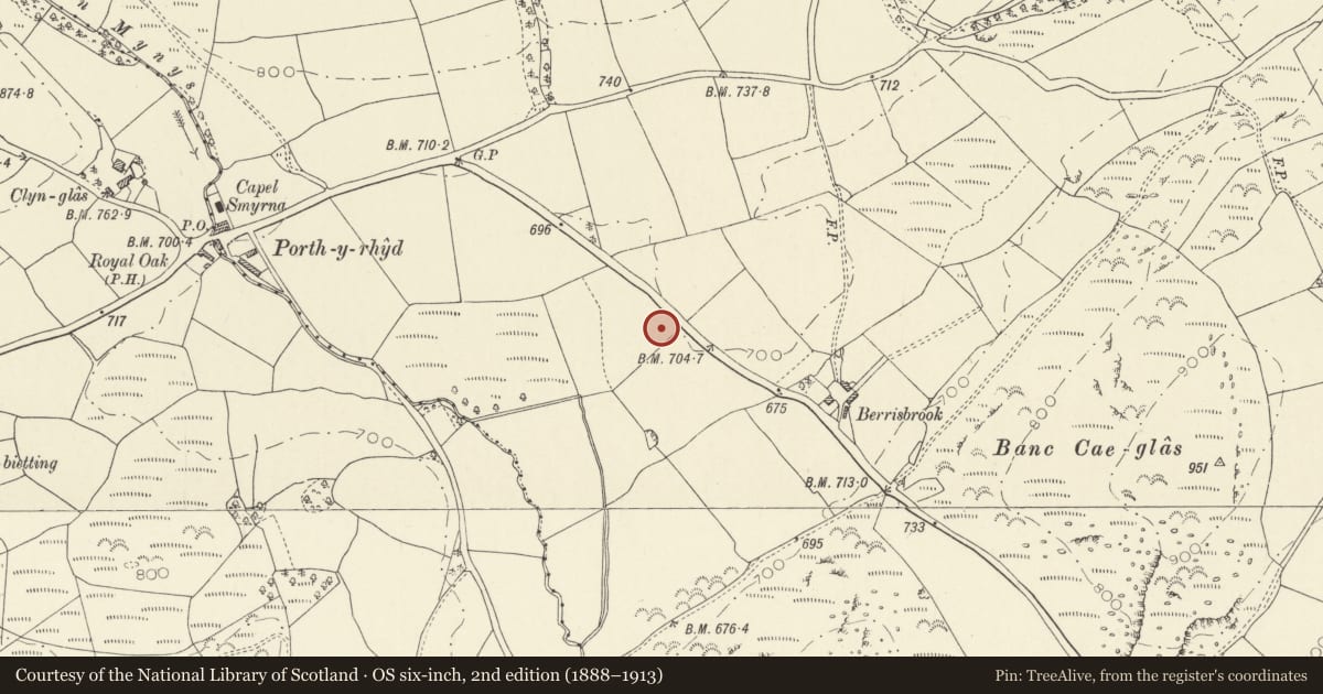 Ordnance Survey six-inch map, 2nd edition (1888–1913) covering the location of Berrisbrook Standing Stones, Cilycwm, Carmarthenshire, with a pin at the register's coordinates