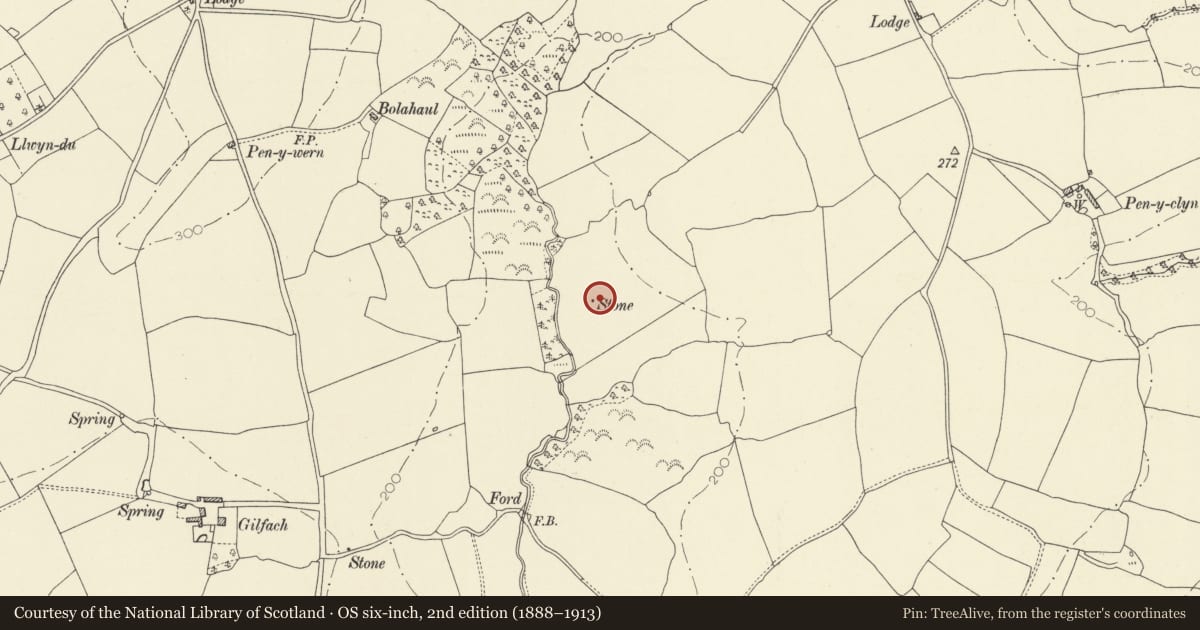 Ordnance Survey six-inch map, 2nd edition (1888–1913) covering the location of Standing Stone NNW of Clomendy, Llangain, Carmarthenshire, with a pin at the register's coordinates