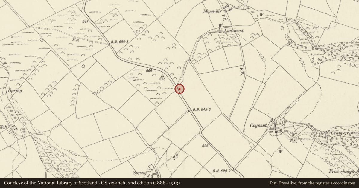 Ordnance Survey six-inch map, 2nd edition (1888–1913) covering the location of Standing Stone 495m NW of Coynant, Cilymaenllwyd, Carmarthenshire, with a pin at the register's coordinates