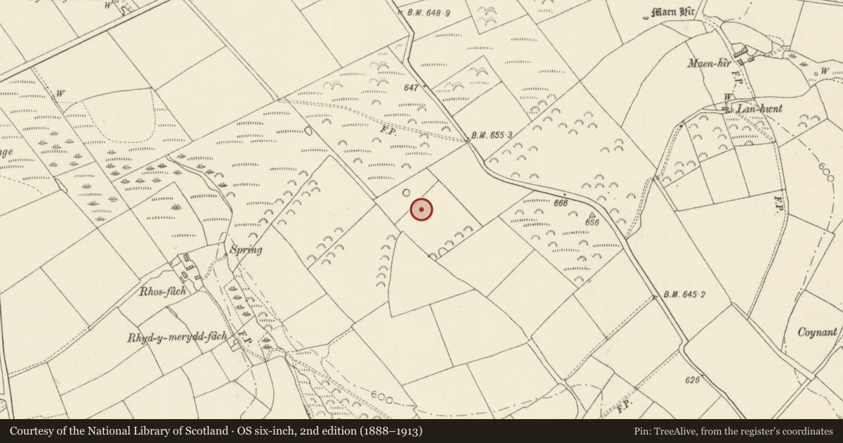 Ordnance Survey six-inch map, 2nd edition (1888–1913) covering the location of Standing Stone 630m NNW of Pant-yr-Odyn, Cilymaenllwyd, Carmarthenshire, with a pin at the register's coordinates