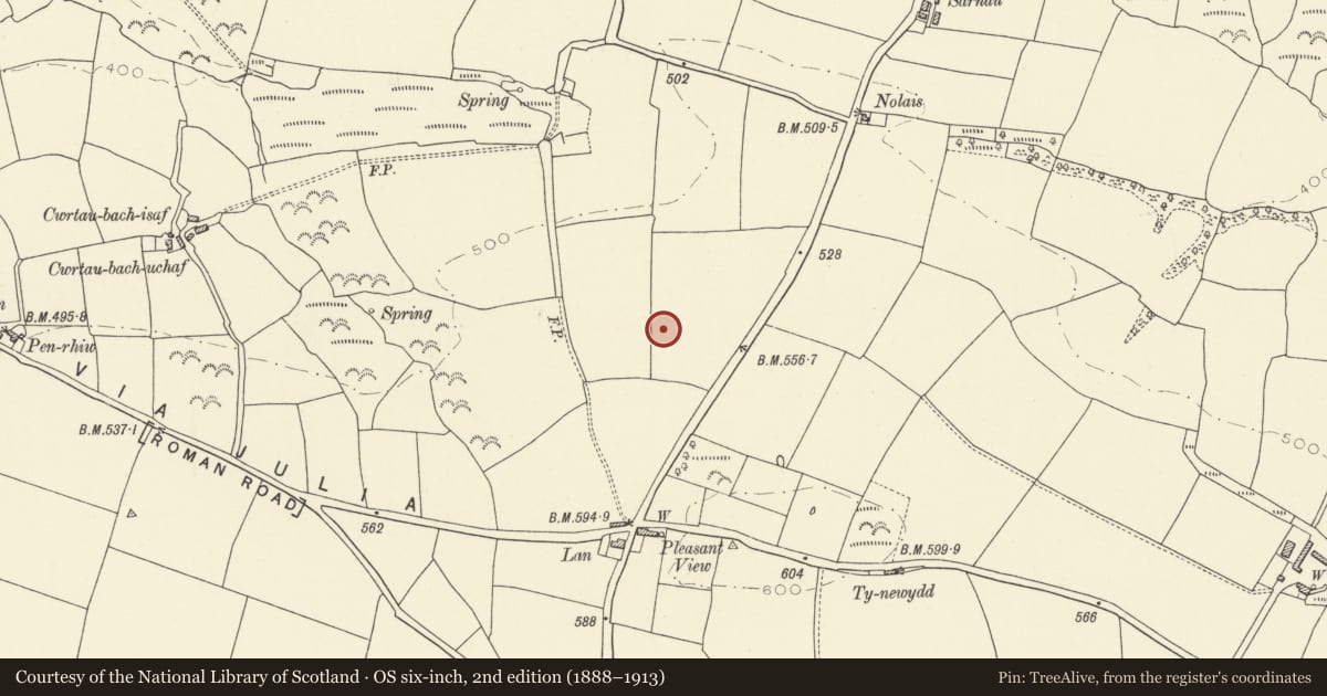 Ordnance Survey six-inch map, 2nd edition (1888–1913) covering the location of Lan Round Barrows, Llanboidy, Carmarthenshire, with a pin at the register's coordinates