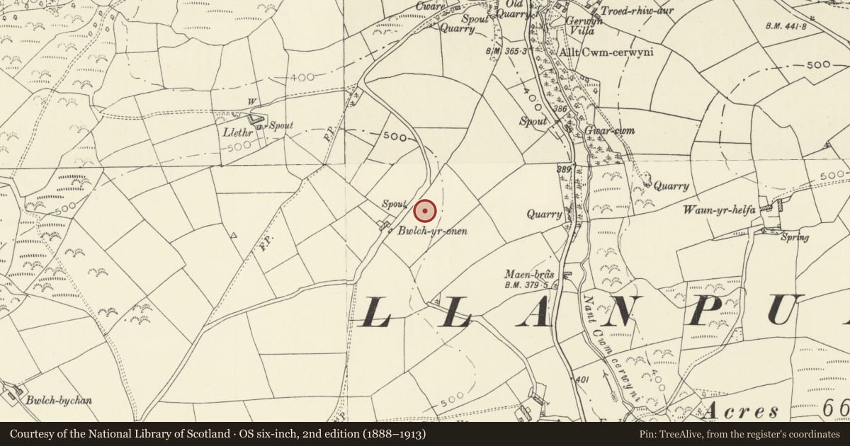 Ordnance Survey six-inch map, 2nd edition (1888–1913) covering the location of Ffos-y-Maen Standing Stone, Llanpumsaint, Carmarthenshire, with a pin at the register's coordinates
