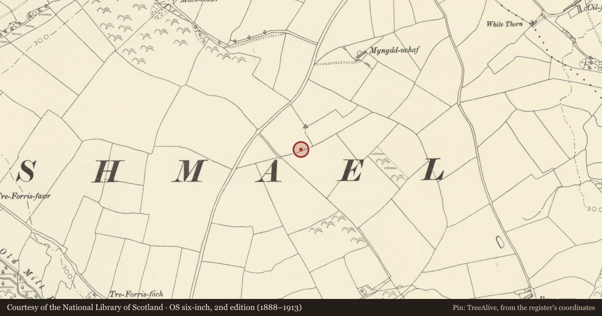 Ordnance Survey six-inch map, 2nd edition (1888–1913) covering the location of Round Barrow 330m SW of Mynydd-Uchaf, St. Ishmael, Carmarthenshire, with a pin at the register's coordinates