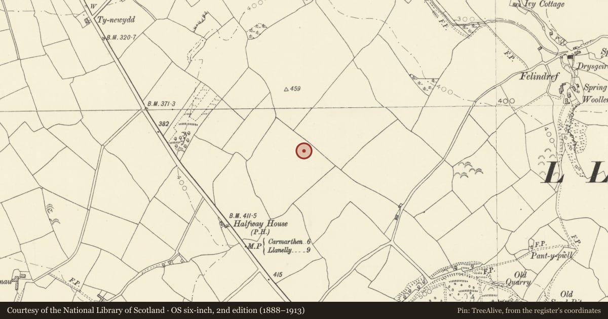 Ordnance Survey six-inch map, 2nd edition (1888–1913) covering the location of Standing Stone NE of Halfway House, Llangyndeyrn, Carmarthenshire, with a pin at the register's coordinates