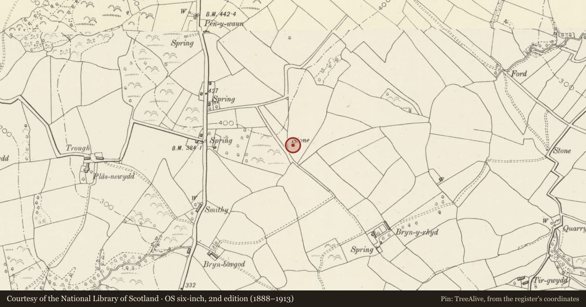 Ordnance Survey six-inch map, 2nd edition (1888–1913) covering the location of Bryn-y-Rhyd Standing Stone, Llanedi, Carmarthenshire, with a pin at the register's coordinates