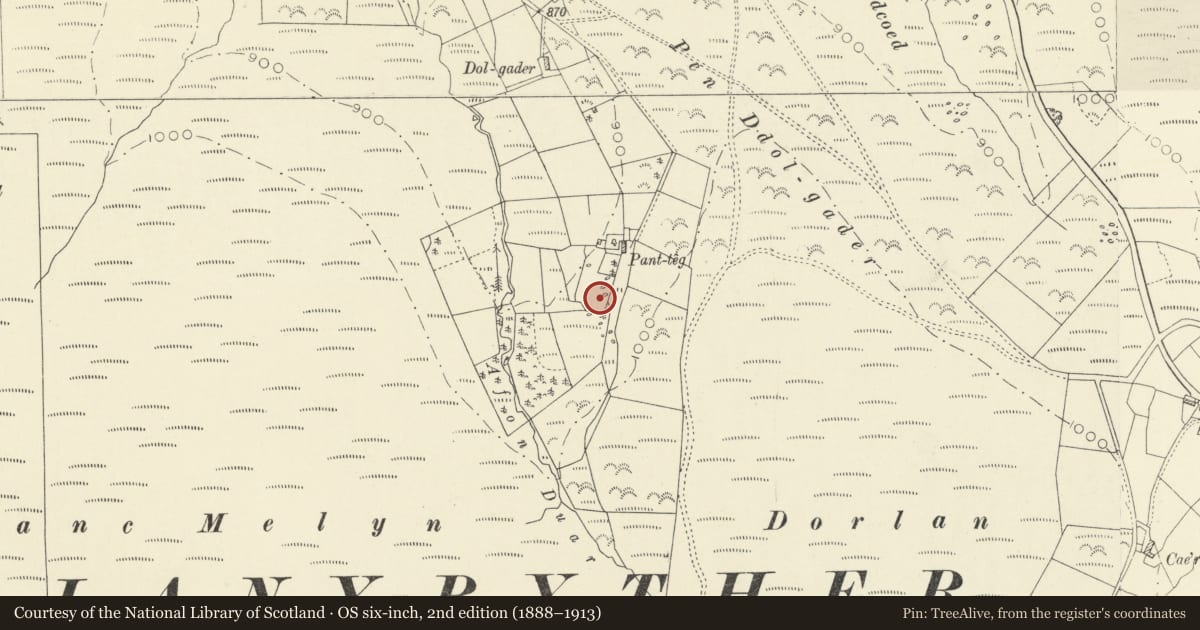 Ordnance Survey six-inch map, 2nd edition (1888–1913) covering the location of Pant-Teg Standing Stone, Llanybydder, Carmarthenshire, with a pin at the register's coordinates