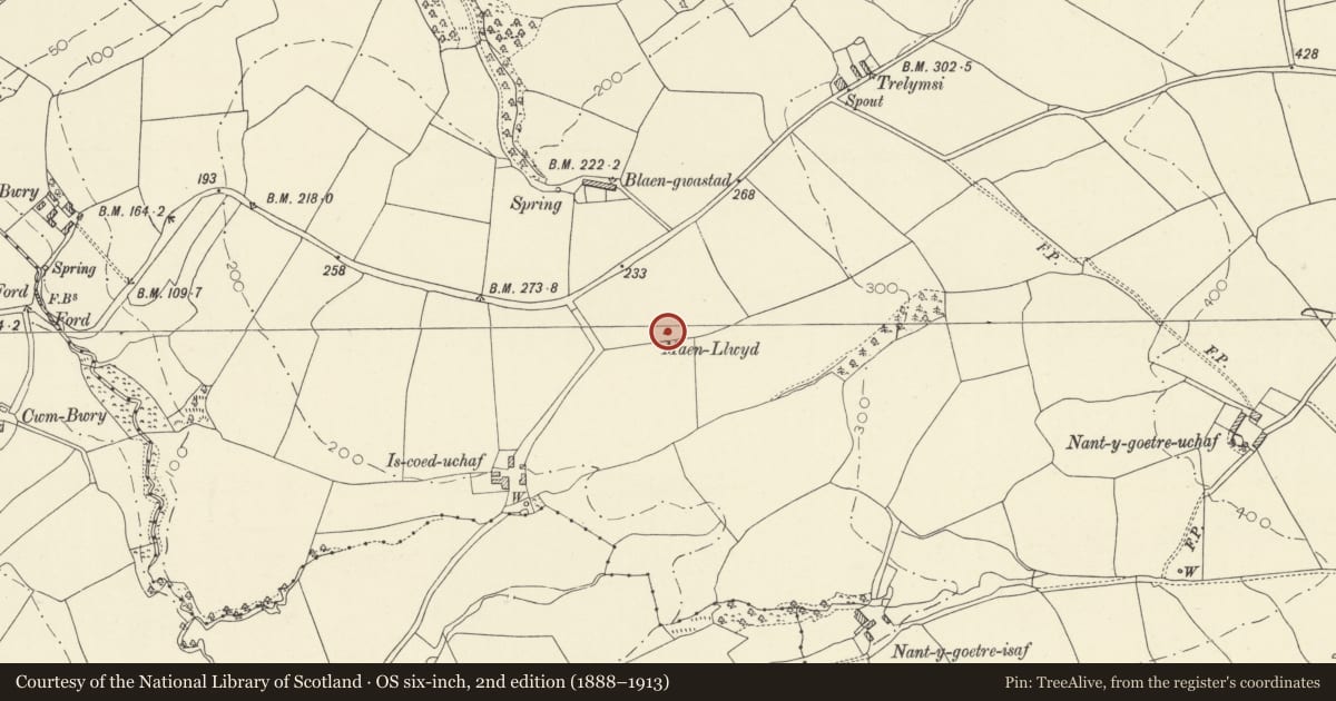 Ordnance Survey six-inch map, 2nd edition (1888–1913) covering the location of Is-Coed-Uchaf Standing Stone, Llandyfaelog, Carmarthenshire, with a pin at the register's coordinates