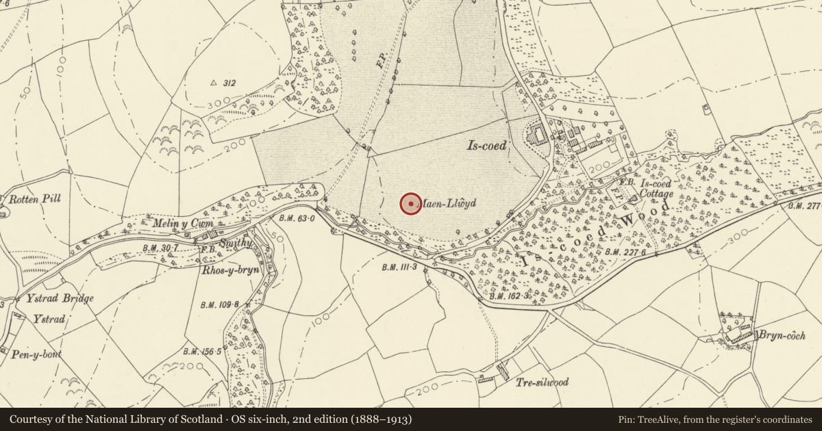 Ordnance Survey six-inch map, 2nd edition (1888–1913) covering the location of Is-Coed Standing Stone, St. Ishmael, Carmarthenshire, with a pin at the register's coordinates