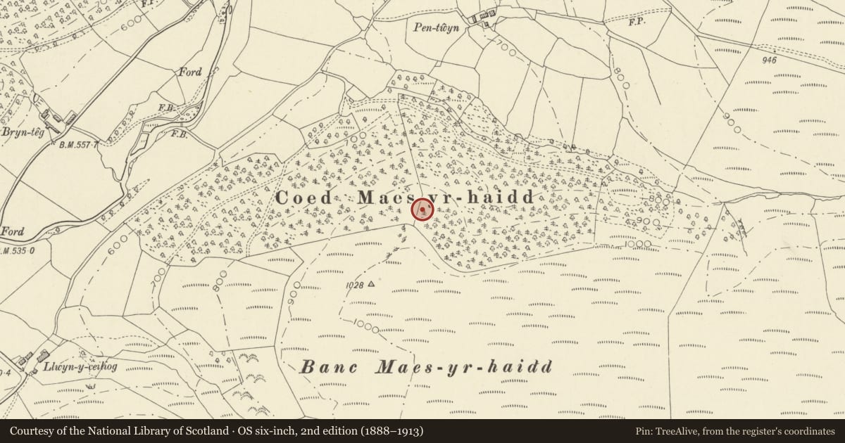 Ordnance Survey six-inch map, 2nd edition (1888–1913) covering the location of Dolaucothi Roman Aqueduct, Cynwyl Gaeo, Carmarthenshire, with a pin at the register's coordinates