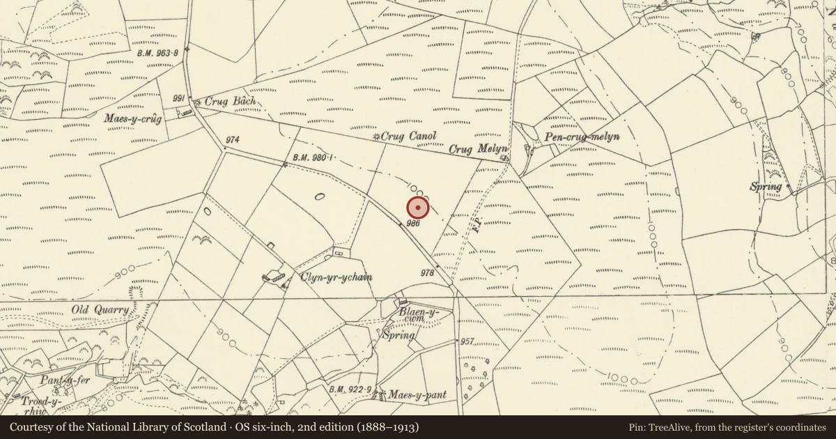 Ordnance Survey six-inch map, 2nd edition (1888–1913) covering the location of Crugiau Round Barrows, Llanegwad, Carmarthenshire, with a pin at the register's coordinates