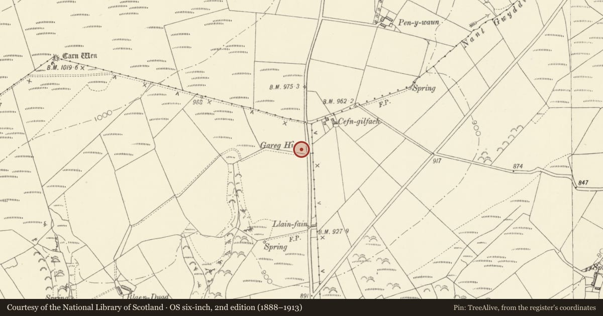 Ordnance Survey six-inch map, 2nd edition (1888–1913) covering the location of Gareg Hir Standing Stone, Cynwyl Elfed, Carmarthenshire, with a pin at the register's coordinates