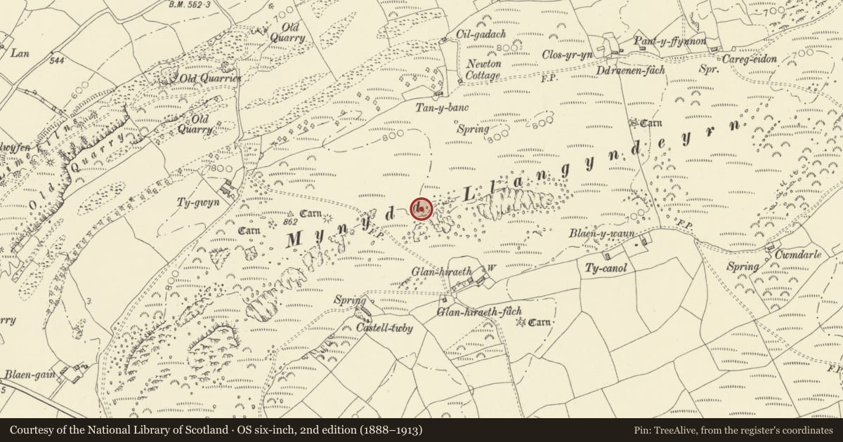 Ordnance Survey six-inch map, 2nd edition (1888–1913) covering the location of Mynydd Llangyndeyrn Round Cairns, Carmarthenshire, with a pin at the register's coordinates