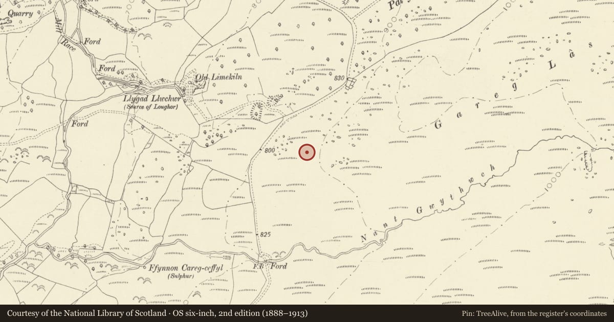 Ordnance Survey six-inch map, 2nd edition (1888–1913) covering the location of Garreg Las Hut Group, Cyngor Bro Dyffryn Cennen, Carmarthenshire, with a pin at the register's coordinates