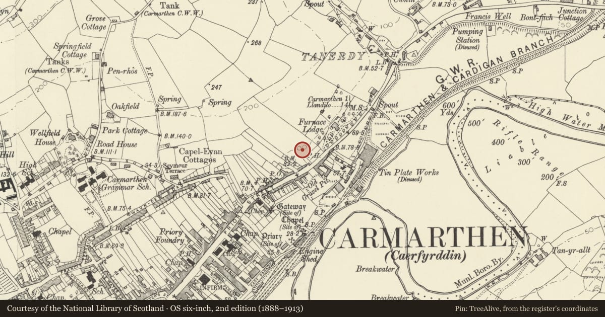 Ordnance Survey six-inch map, 2nd edition (1888–1913) covering the location of Roman Amphitheatre, Carmarthen, Carmarthenshire, with a pin at the register's coordinates